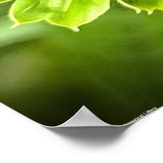 コンフロアー ポスター (角)