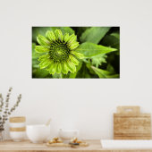 コンフロアー ポスター (キッチン)