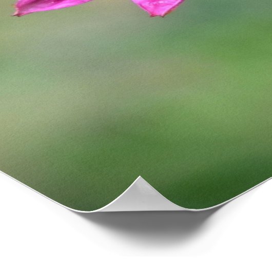 コンフロアー ポスター (角)