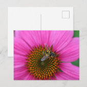 コンフロアー ポストカード (正面/裏面)