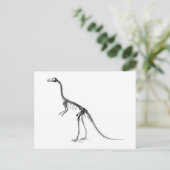 コンプソグナサス骨格 ポストカード (スタンド正面)