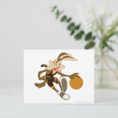 コンペティションを通じてドリブルEコヨーテ ポストカード (スタンド正面)