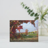 コンボのはがきに向かう秋 ポストカード (スタンド正面)