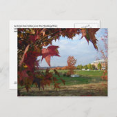 コンボのはがきに向かう秋 ポストカード (正面/裏面)