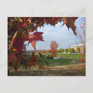 コンボのはがきに向かう秋 ポストカード