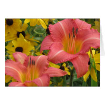 コンボワスレグサおよびルドベキア