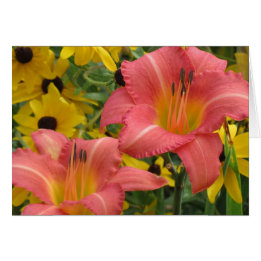 コンボワスレグサおよびルドベキア