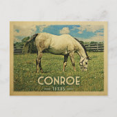 コンローテキサス州ホースファーム – ヴィンテージトラベル ポストカード (正面)