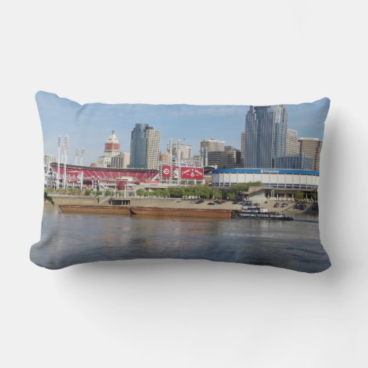 コヴィントン&バージェスランバーピロー ランバークッション (正面)