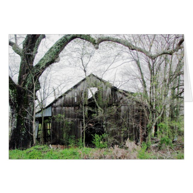 コーのまわりにナー (正面横)