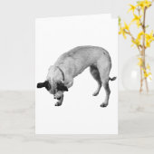 コーイ・パウ、ウォーム・ウィッシュ カード (黄色い花)