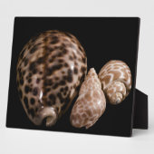 コーウィークコーン斑 フォトプラーク (側面)