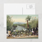 コーカサスの鳥 ポストカード (正面/裏面)