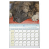 コーカサス地方の伝説の農場 カレンダー (1月 2026)