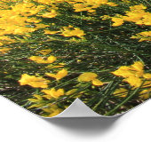 コーカラフルスト ポスター (角)