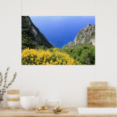 コーカラフルスト ポスター (キッチン)