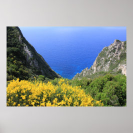 コーカラフルスト ポスター