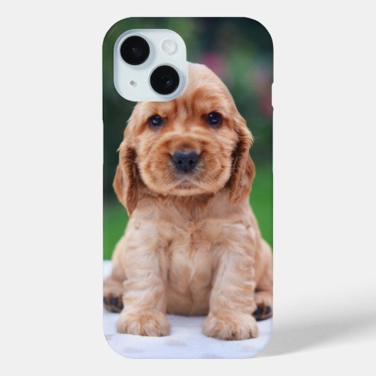 コーカースパニエル犬子犬 Case-Mate iPhoneケース (裏面)