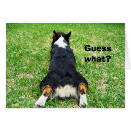 コーギおもしろいお尻はユーモアカードを推測