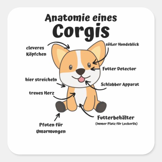 コーギのかわいい犬の子犬の解剖学おもしろい スクエアシール (正面)