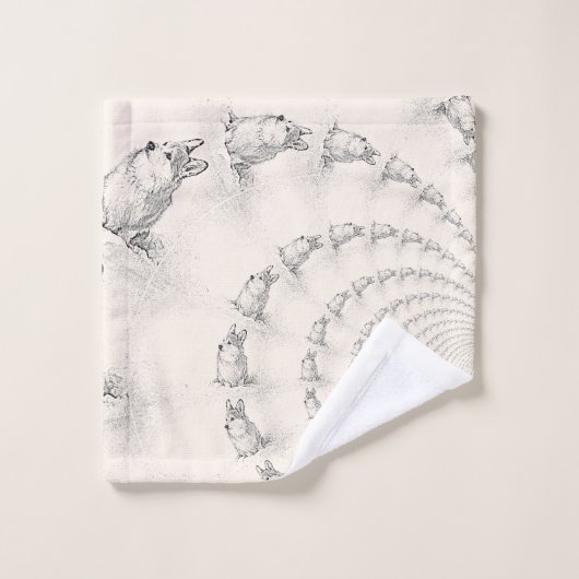 コーギスパイラル洗浄布 ウォッシュタオル (ウォッシュタオル)