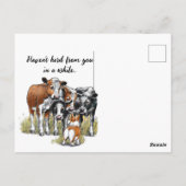 コーギーと牛 ポストカード (裏面)