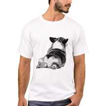 コーギーのお尻