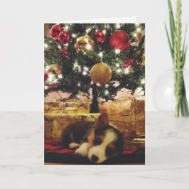 コーギーのクリスマスカード シーズンカード