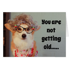 コーギーのバースデー・カード