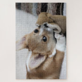 コーギーの子犬のおもしろいのパズル ジグソーパズル (縦)