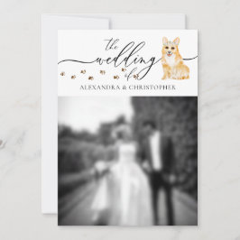 コーギーの子犬の結婚式の写真 招待状