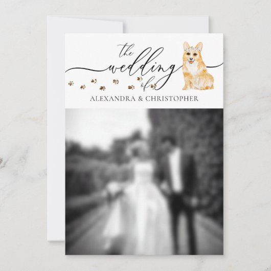 コーギーの子犬の結婚式の写真 招待状 (正面)