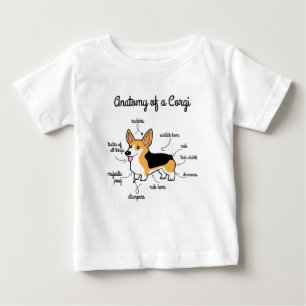 コーギーの解剖学 ベビーTシャツ