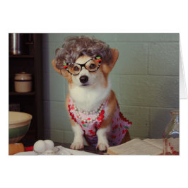 コーギーの調理師は健康なカードを得ます