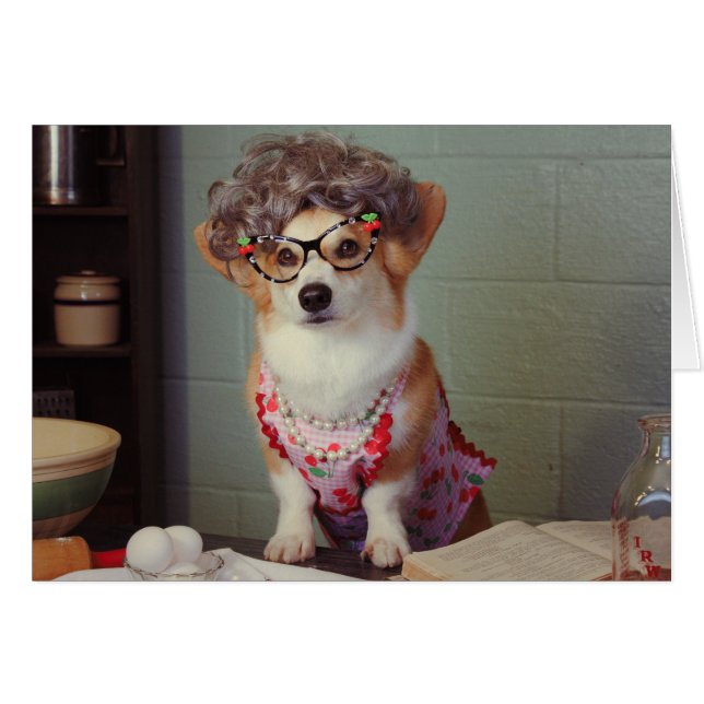 コーギーの調理師は健康なカードを得ます (正面横)