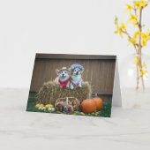 コーギーの農家および妻の空白のなカード カード (黄色い花)