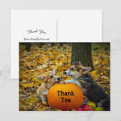 コーギー犬とカボチャの秋の写真ありがとう ポストカード (正面/裏面)