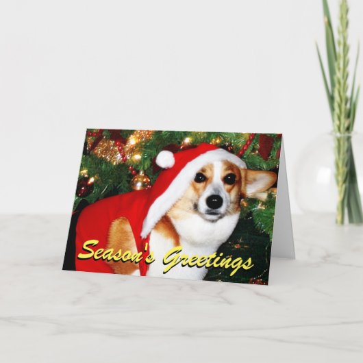 コーギー犬のクリスマスカード シーズンカード (正面)
