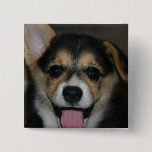 コーギー犬の正方形Pin 缶バッジ
