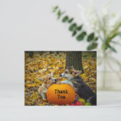 コーギー犬パンプキン秋写真ありがとう ポストカード (スタンド正面)