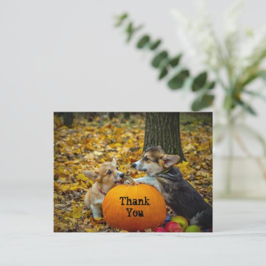 コーギー犬パンプキン秋写真ありがとう ポストカード (スタンド正面)