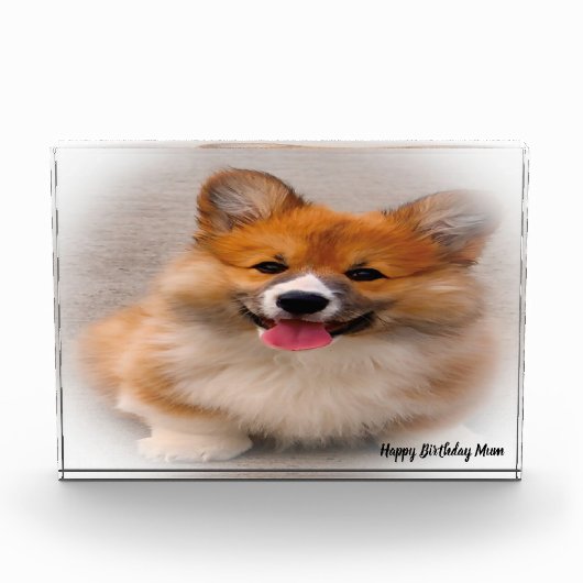 コーギー犬. フォトブロック (正面)