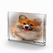コーギー犬. フォトブロック (右)