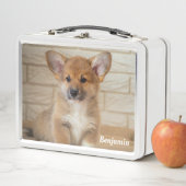 コーギー犬 メタルランチボックス (インサイチュ)