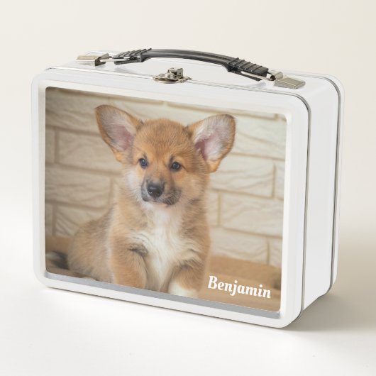 コーギー犬 メタルランチボックス (正面)