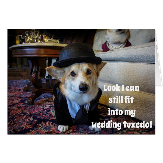 コーギー記念日カード (正面横)