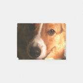 コーギー ポストイット (正面)