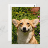 コーギー ポストカード (正面/裏面)