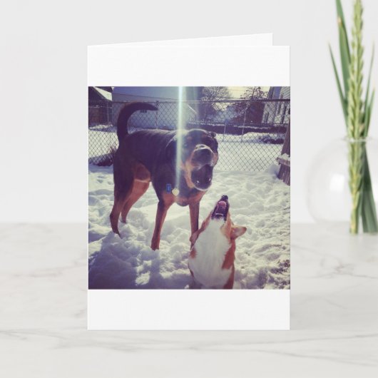 コーギ最高のフレンド誕生日カード カード (正面)