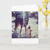 コーギ最高のフレンド誕生日カード カード (黄色い花)